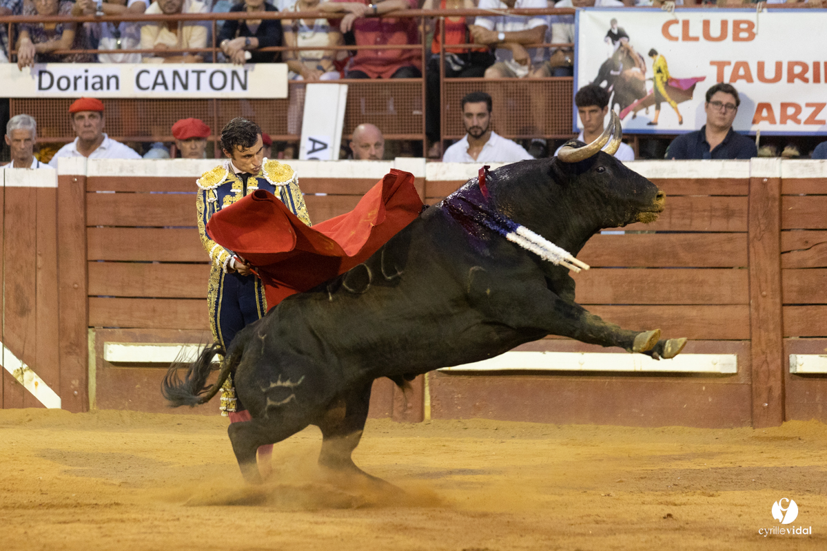 Corrida de Villeneuve-de-Marsan