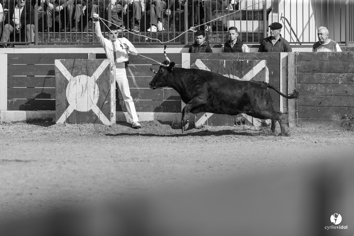 Course landaise Le Houga Ganadéria Dussau Cuadrilla Alexandre Brethes