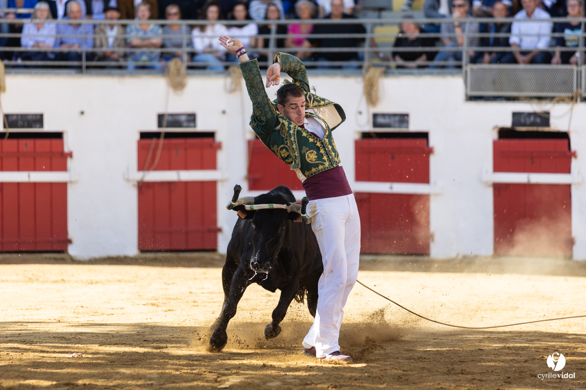 Nogaro Championnat de France de course landaise 2022
