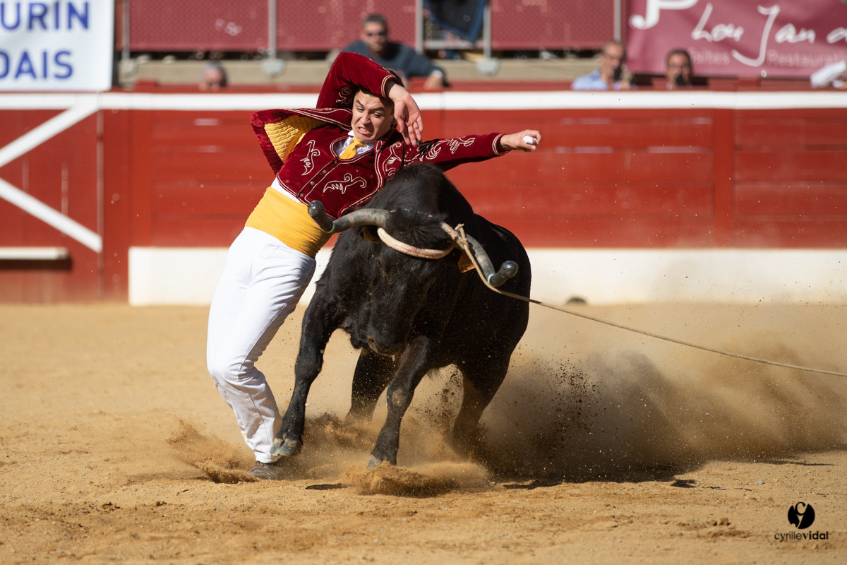 Mont-de-Marsan championnat de France de course landaise 2019