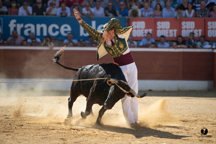 Mont-de-Marsan championnat de France de course landaise 2019