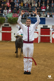 Nogaro Championnatde France de Course Landaise 2017