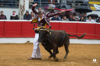 Nogaro Championnatde France de Course Landaise 2017