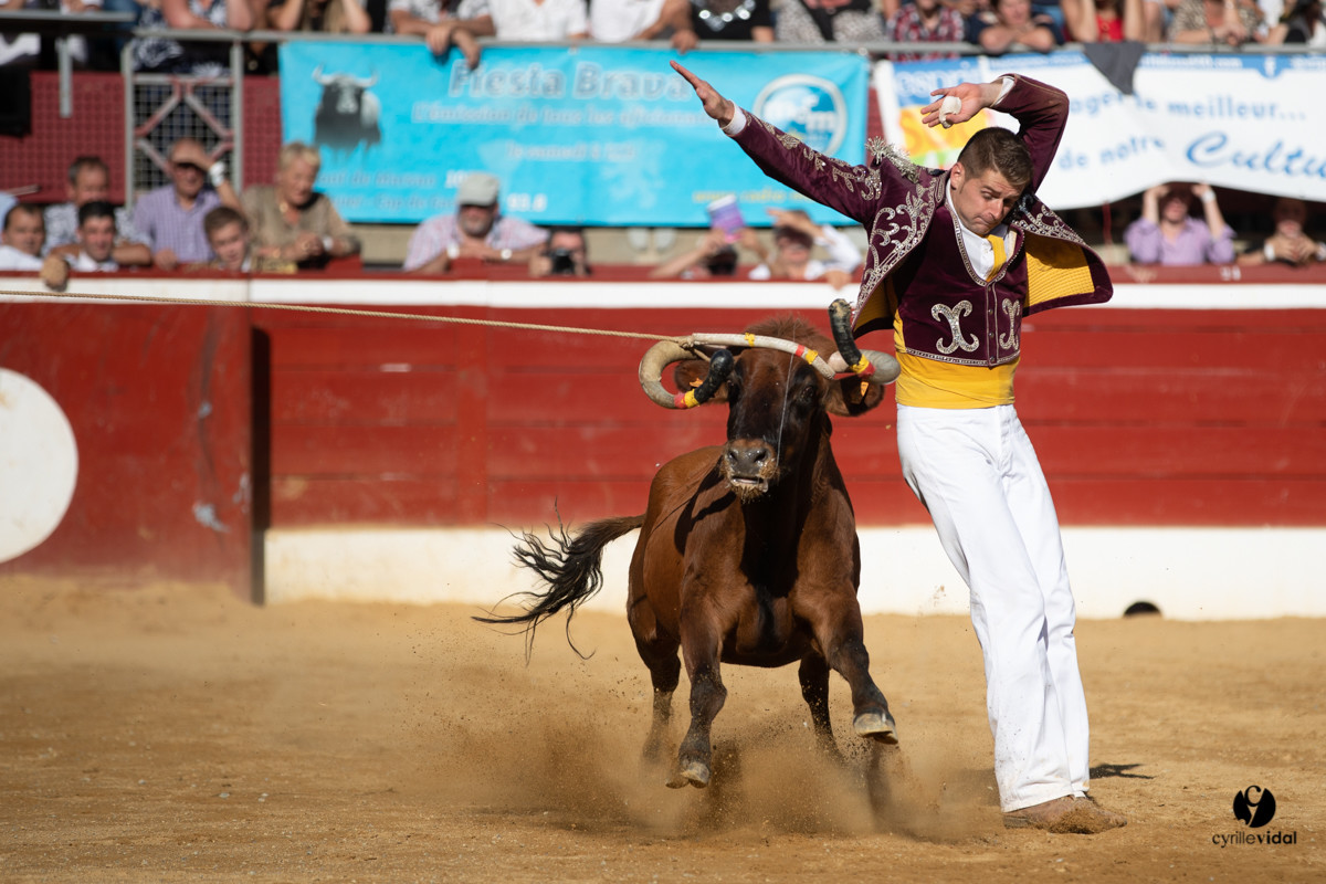 Mont-de-Marsan championnat de France de course landaise 2019