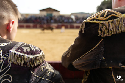 Course landaise Le Houga Ganadéria Dussau Cuadrilla Alexandre Brethes