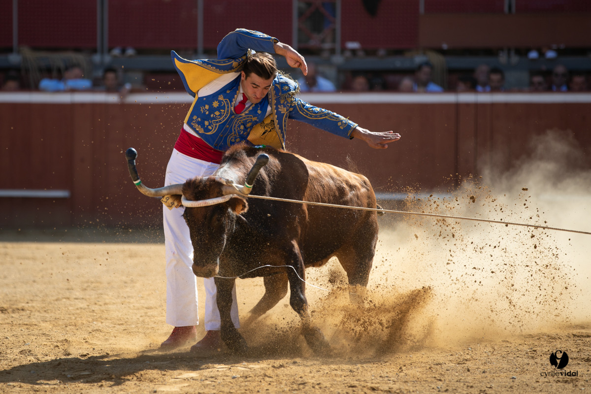 Mont-de-Marsan championnat de France de course landaise 2019