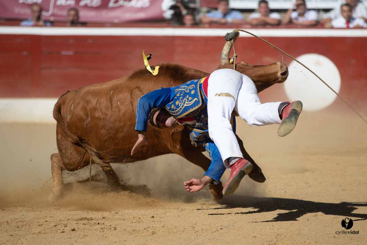 Mont-de-Marsan championnat de France de course landaise 2019