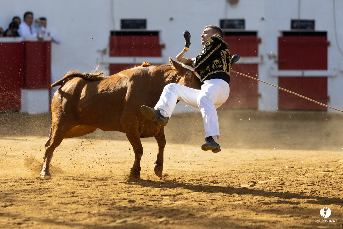 Nogaro Championnat de France de course landaise 2022