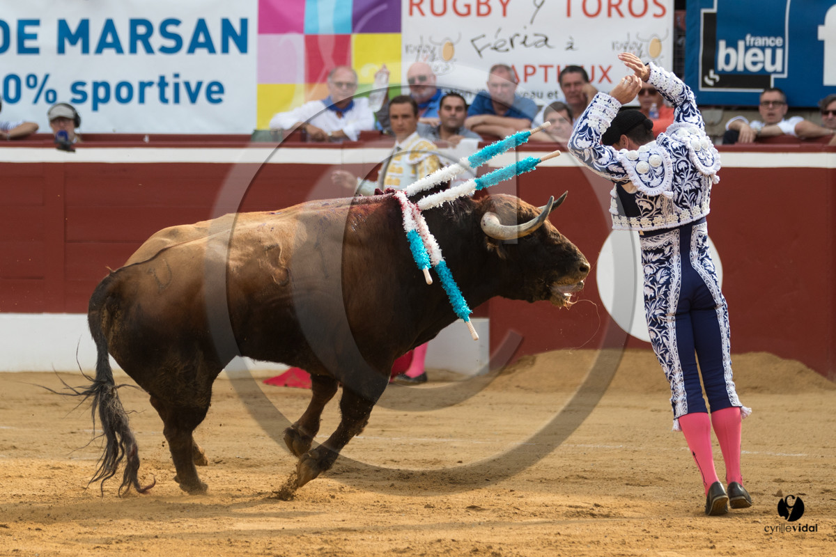 Mont-de-Marsan corrida de Garcigrande pour El Juli et Juan Bautista