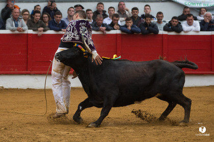 Nogaro Championnatde France de Course Landaise 2017