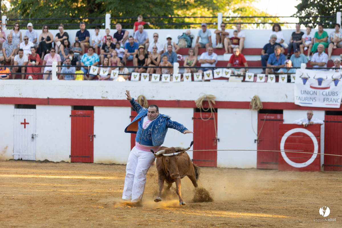 Course landaise à Panjas