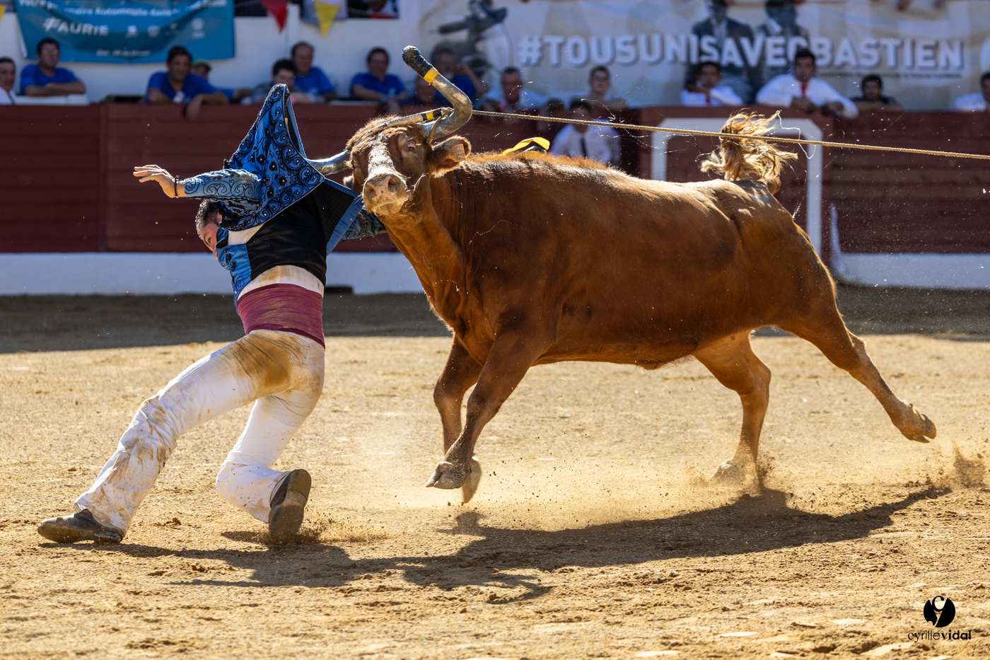 Aire-sur-l'Adour Championnat de France de course landaise 2023