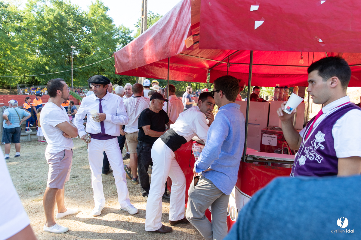 Course landaise à Panjas