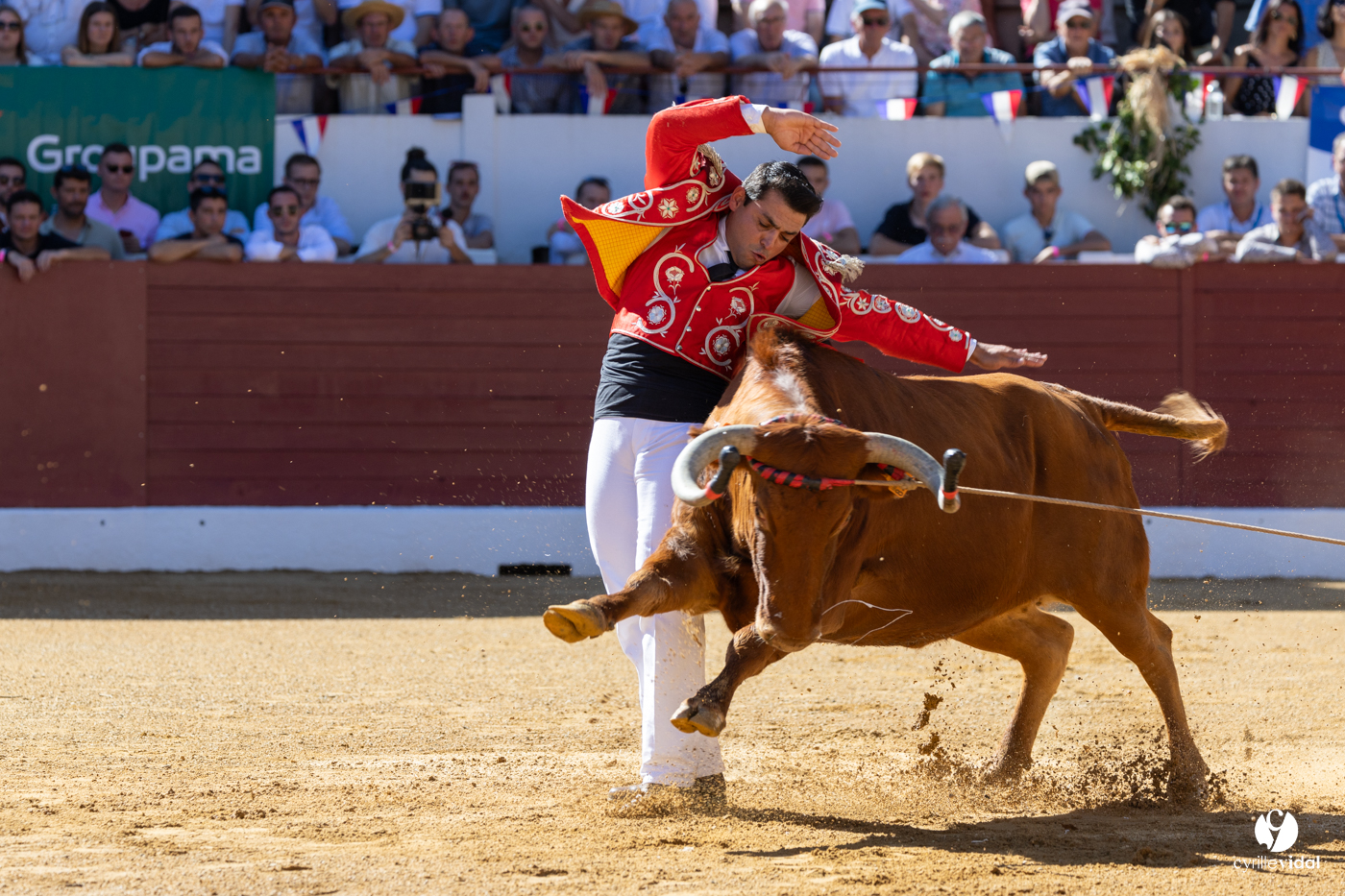 Aire-sur-l'Adour Championnat de France de course landaise 2023
