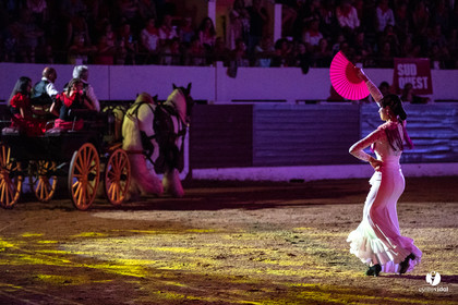 Landes émotions à Aire-sur-l'Adour