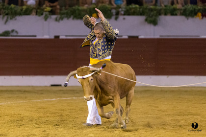 Aire sur l'Adour course landaise génération Aturine