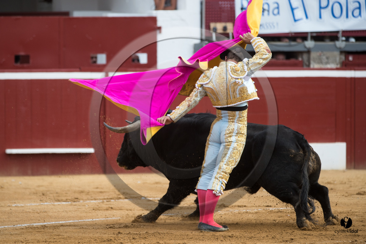 Mont-de-Marsan corrida de Garcigrande pour El Juli et Juan Bautista