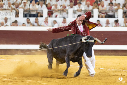 Dax concours landais 2022