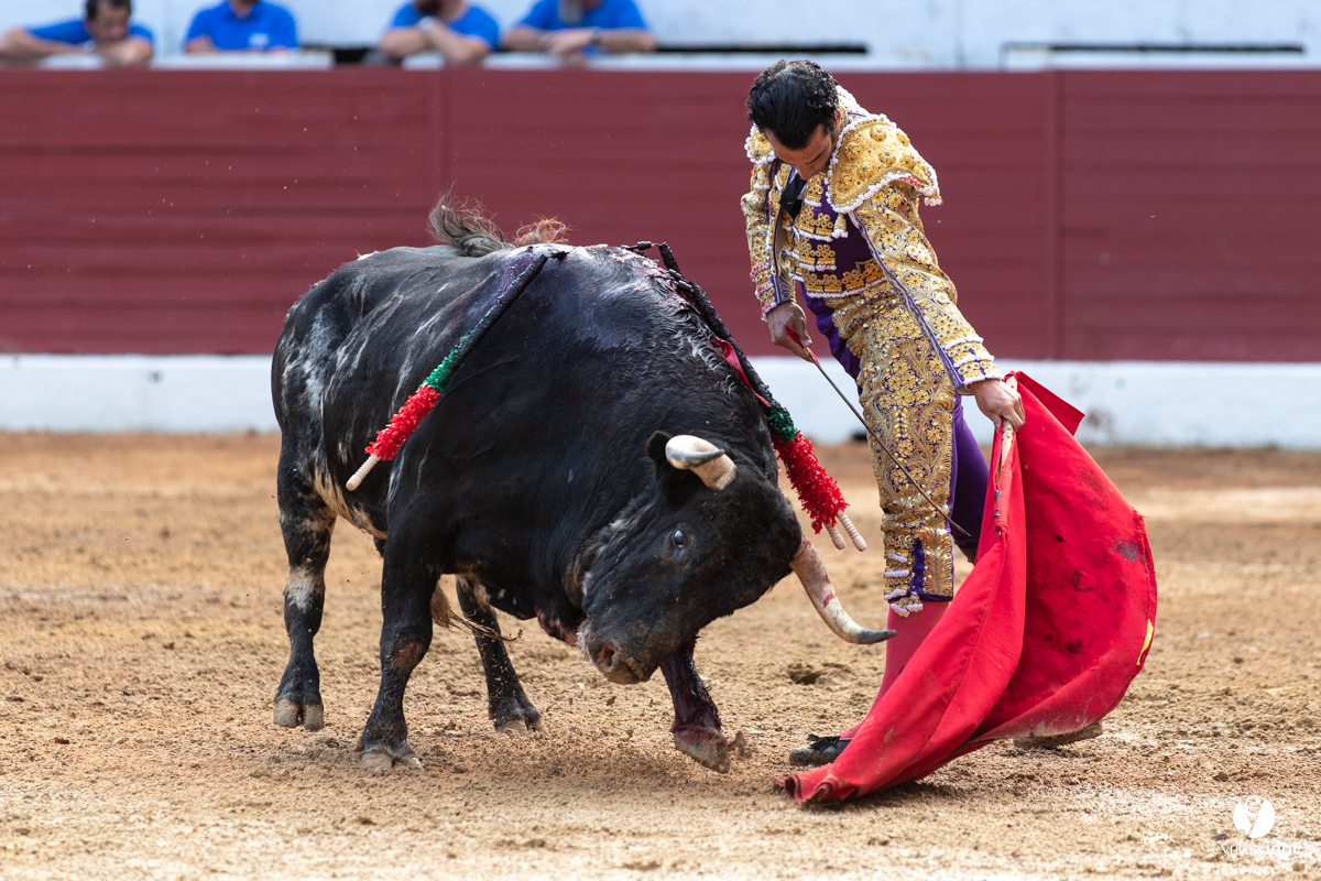 Corrida d'Aire sur l'Adour