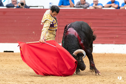 Corrida d'Aire sur l'Adour