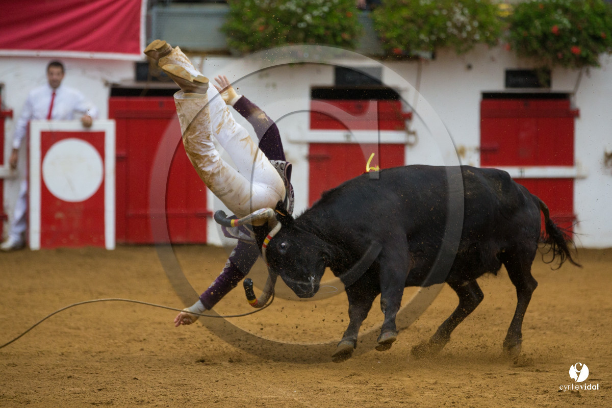 Nogaro Championnatde France de Course Landaise 2017
