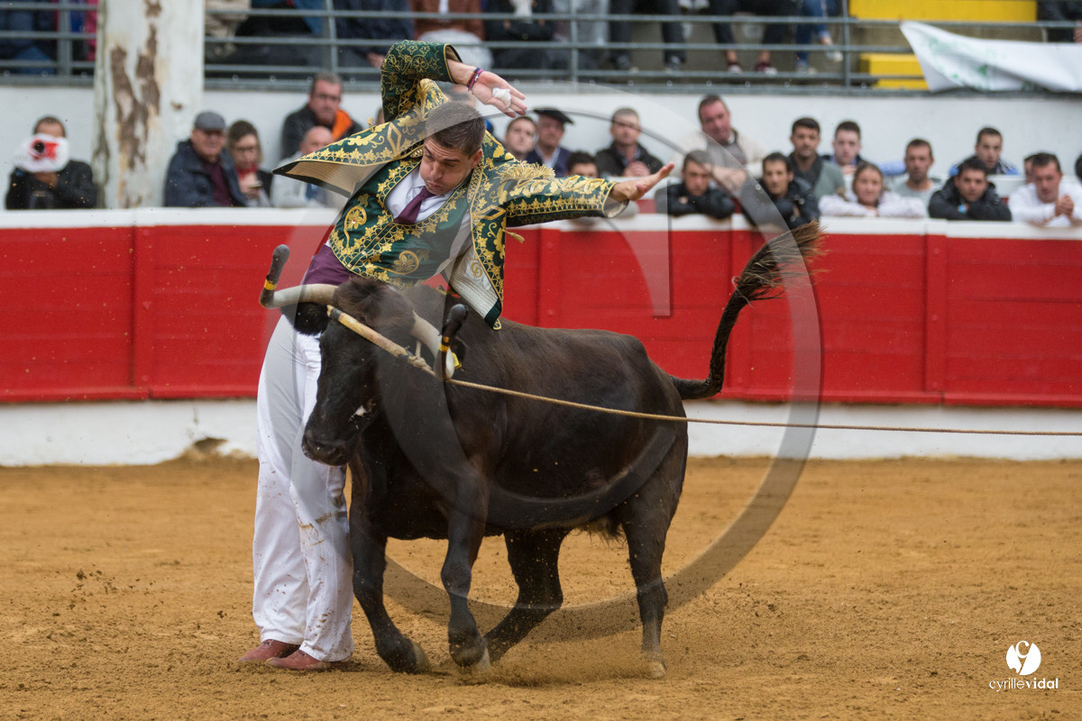 Nogaro Championnatde France de Course Landaise 2017