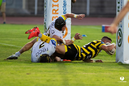 Stade Montois Rugby - Carcassonne