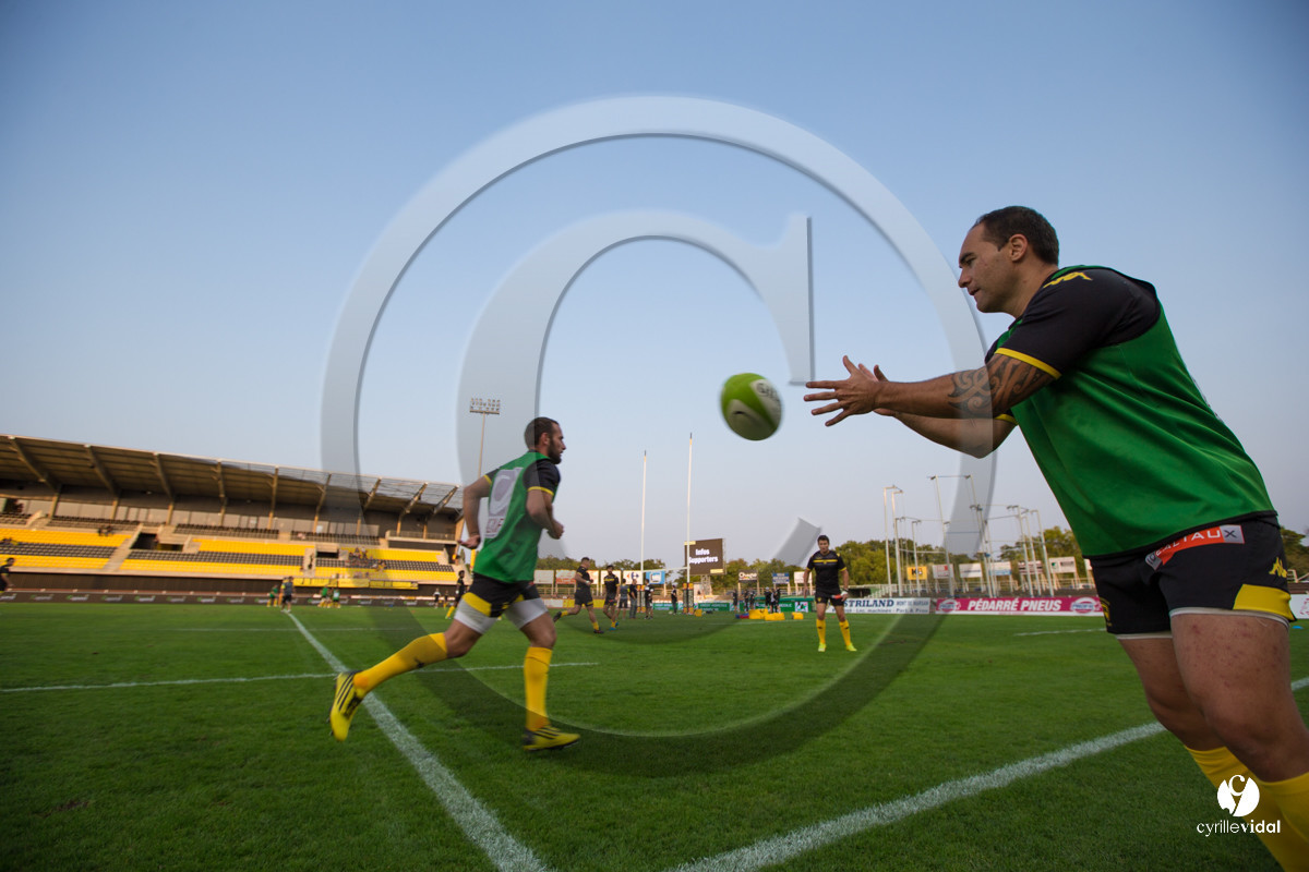 Rugby STADE MONTOIS - VANNES