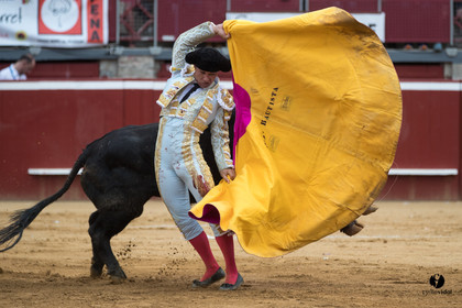 Mont-de-Marsan corrida de Garcigrande pour El Juli et Juan Bautista