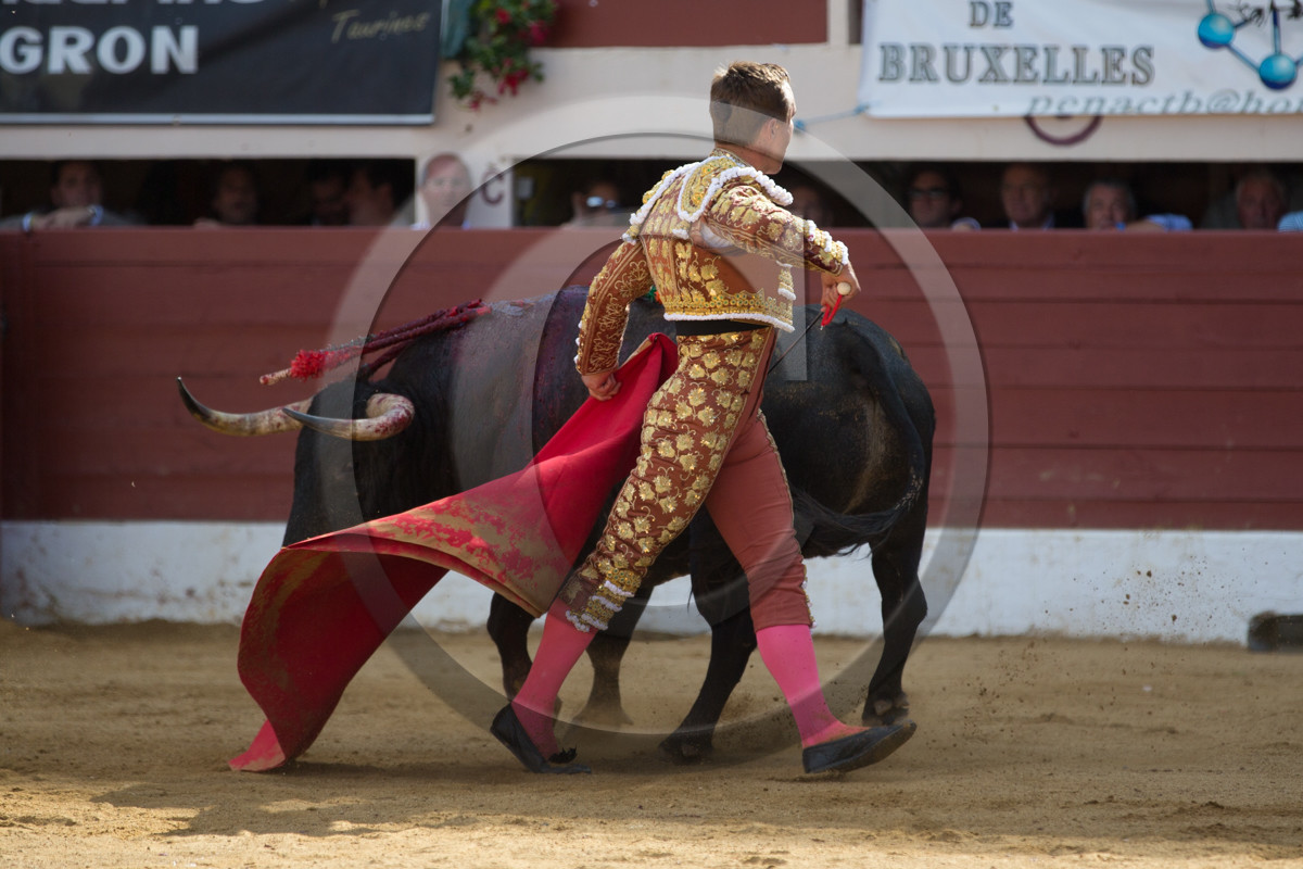 corrida, toro, vic fezensac, alcurrucen, michelito, morenito de aranda
