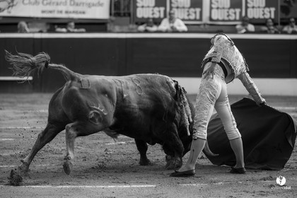 Mont-de-Marsan corrida de Dolores Aguirre pour Octavio Chacon - Pepe Moral - Juan Léal