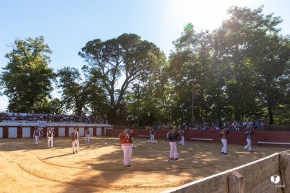 Course landaise à Panjas