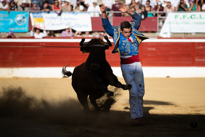 Mont-de-Marsan championnat de France de course landaise 2019