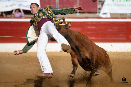 Mont-de-Marsan championnat de France de course landaise 2019