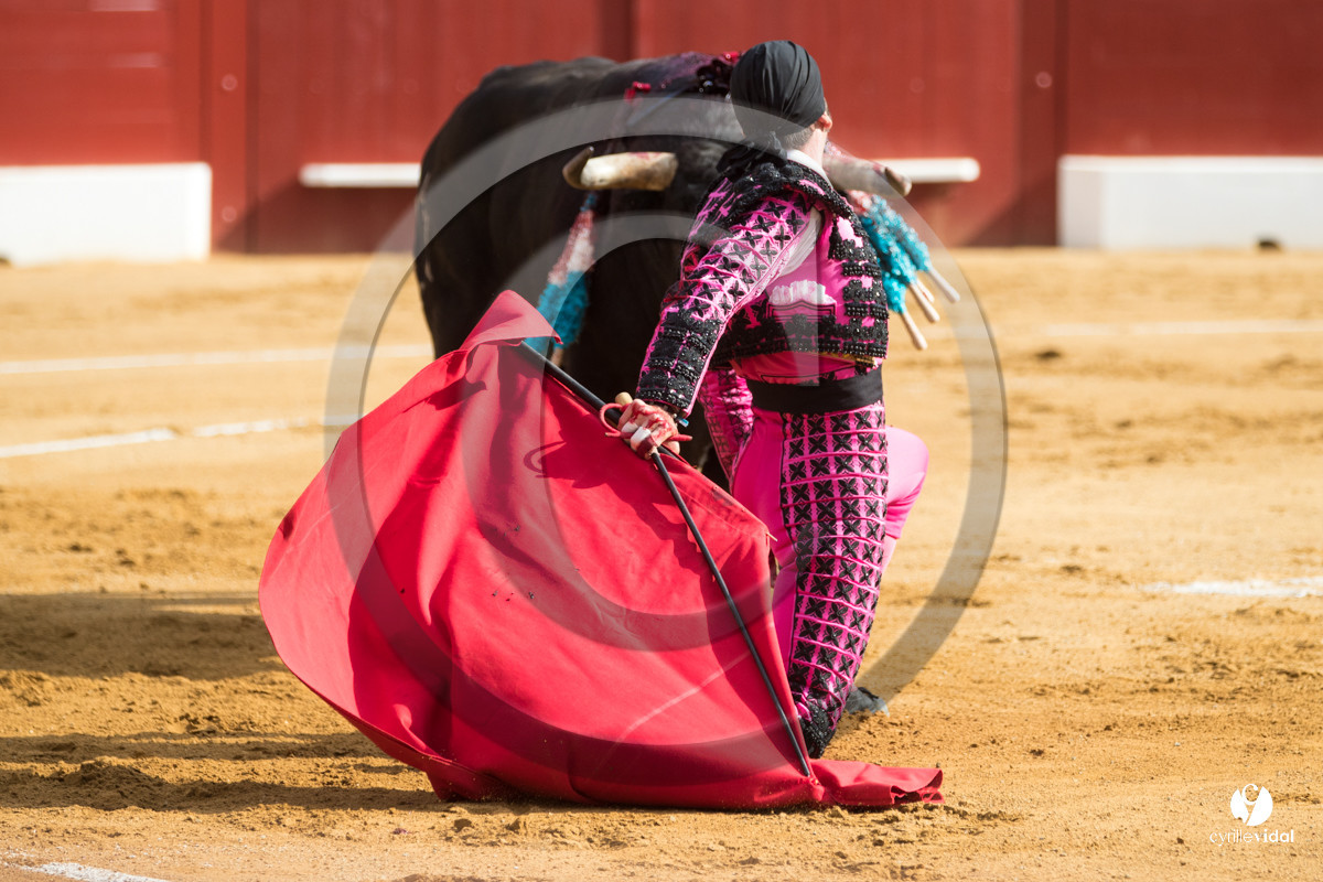 Mont-de-Marsan corrida de Jandilla pour Padilla - Talavante - Roca Rey