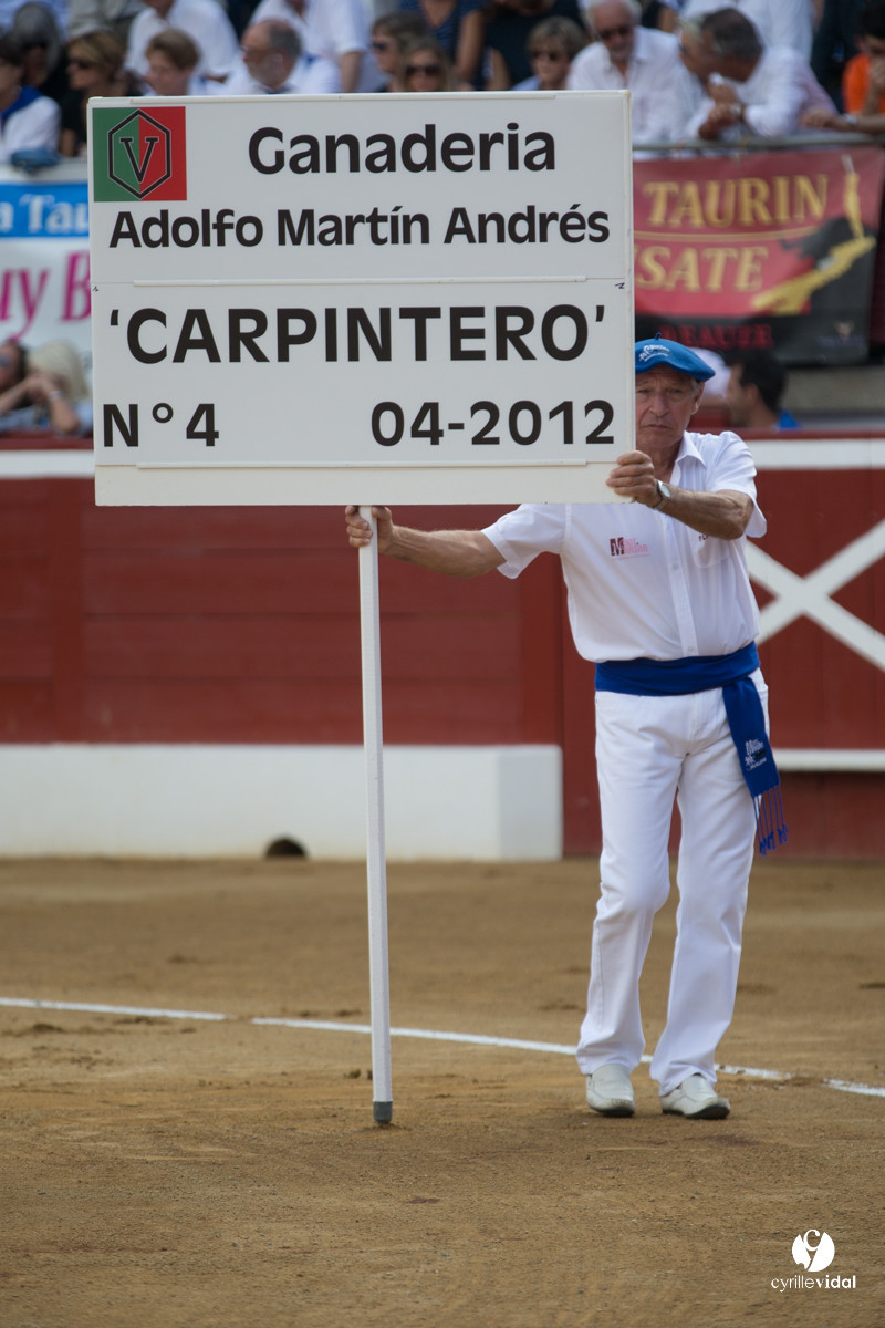 Mont-de-Marsan corrida d'Adolfo Martin