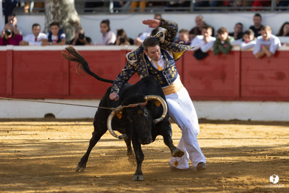 Nogaro Championnat de France de course landaise 2022