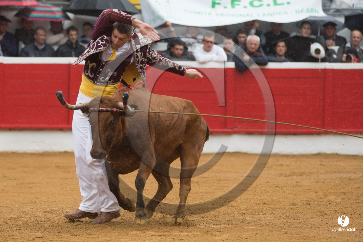 Nogaro Championnatde France de Course Landaise 2017