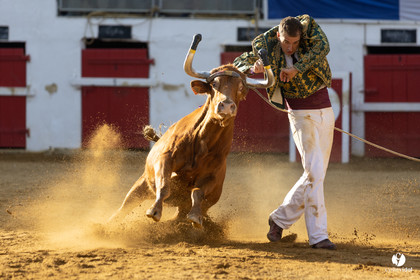 Nogaro Championnat de France de course landaise 2022