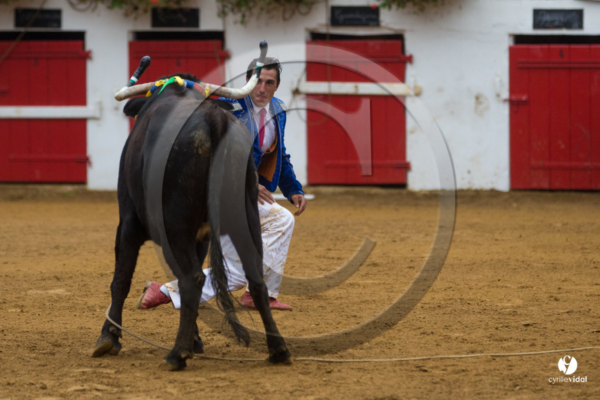 Nogaro Championnatde France de Course Landaise 2017