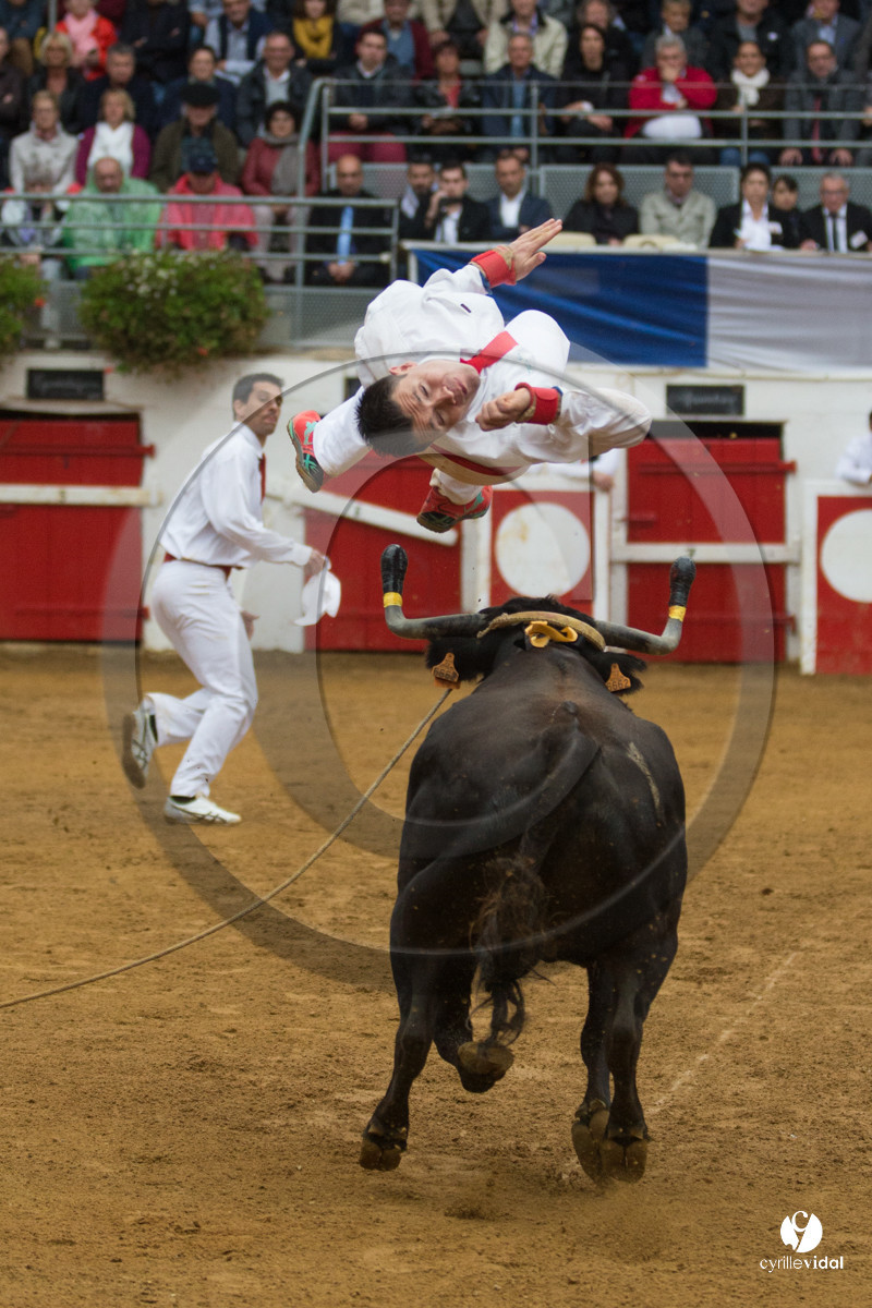 Nogaro Championnatde France de Course Landaise 2017