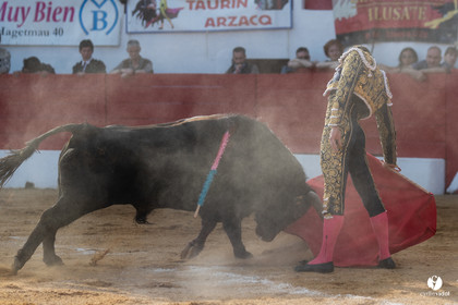 Corrida Aignan