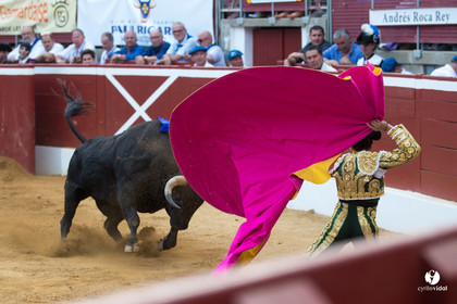 Mont-de-Marsan corrida de Jandilla pour Padilla - Talavante - Roca Rey