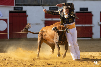 Nogaro Championnat de France de course landaise 2022