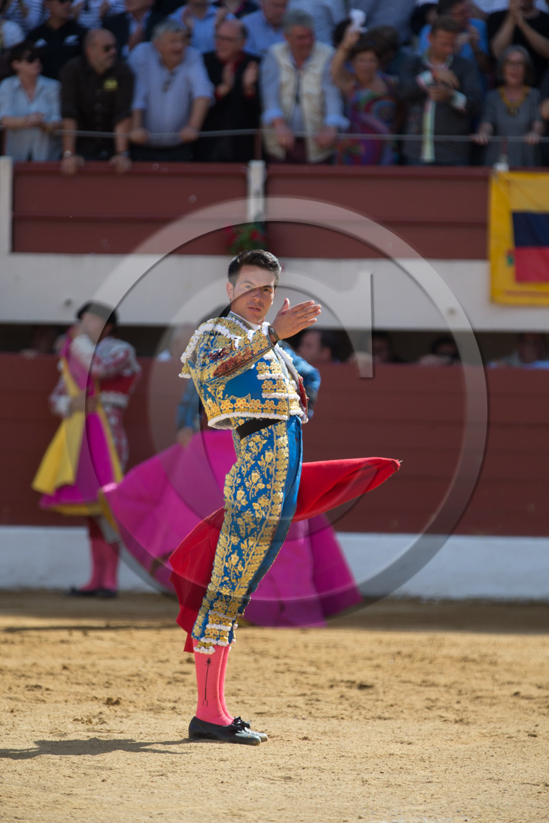 corrida, toro, vic fezensac, alcurrucen, michelito, morenito de aranda