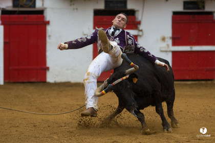 Nogaro Championnatde France de Course Landaise 2017