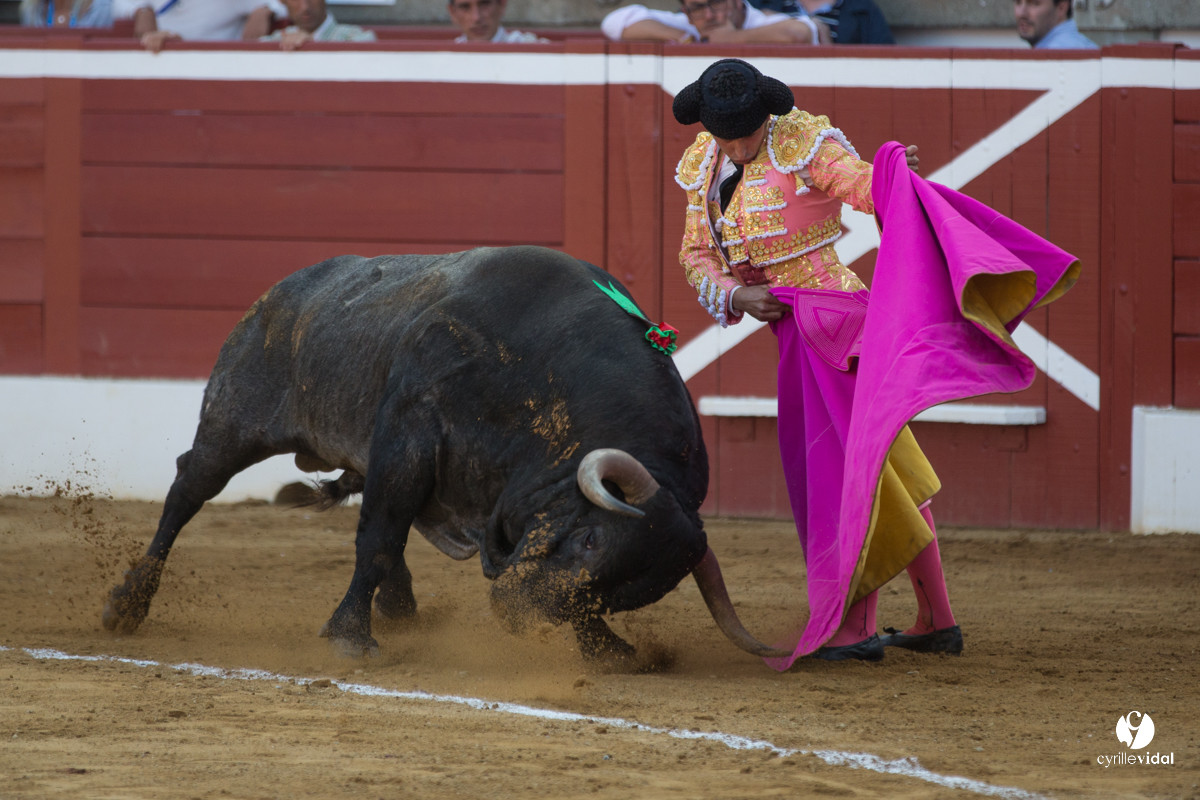 Mont-de-Marsan corrida d'Adolfo Martin