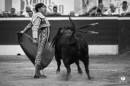 Mont-de-Marsan corrida de Jandilla pour Padilla - Talavante - Roca Rey