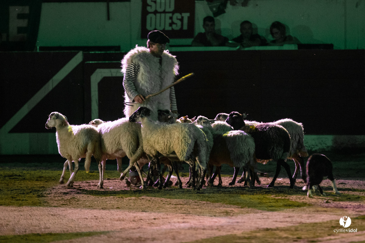 Landes émotions à Aire-sur-l'Adour