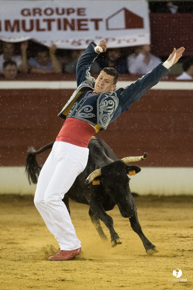 Mont-de-Marsan festival Art et Courage